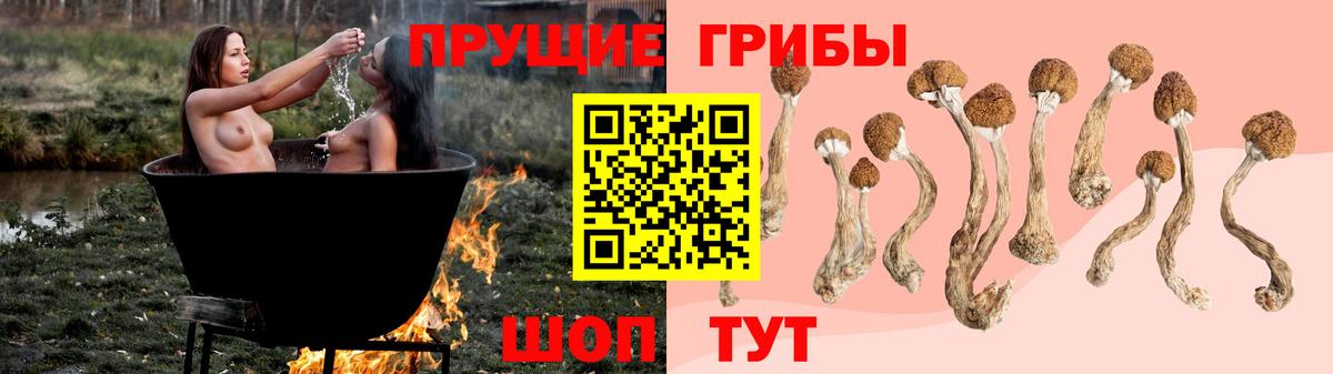 Галлюциногенные грибы мицелий  Вход с VPN  Еманжелинск 
